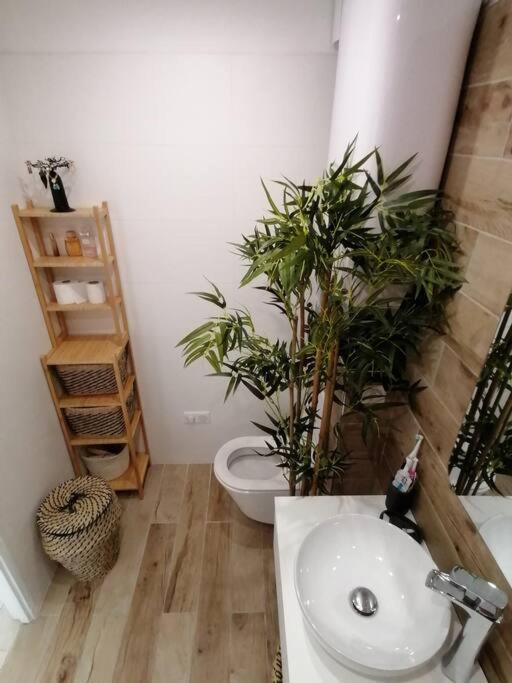 Superbe Studio Ethnique Appartement Hyères Buitenkant foto