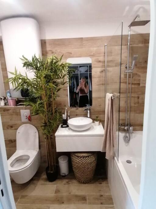 Superbe Studio Ethnique Appartement Hyères Buitenkant foto